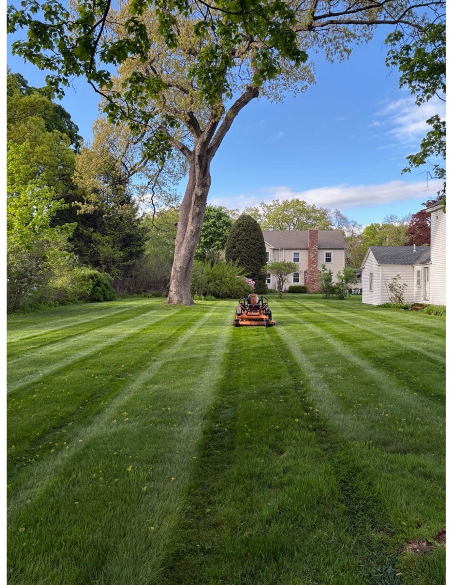 Striped lawn freshly mowed at a Colonial home